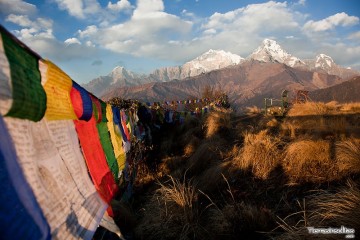 trekking poon hill nepal