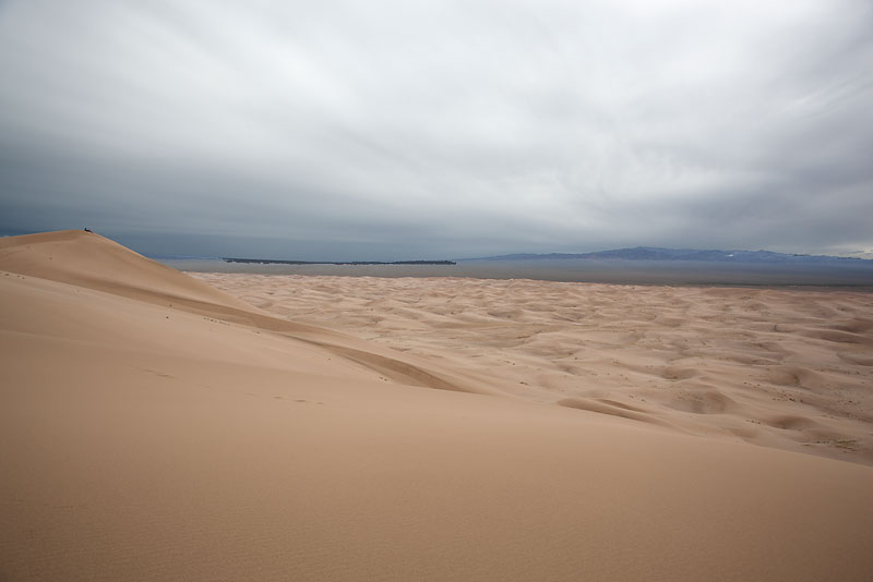 mongolia desierto gobi
