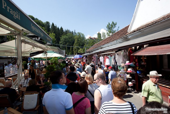 como-llegar-a-bran-y-rasnov