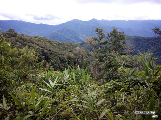 trekking en Luang Namtha