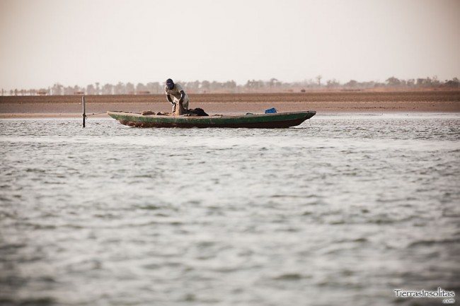 barca delta sine saloum