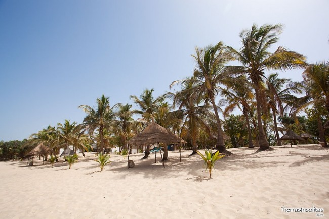 playa hotel mbour