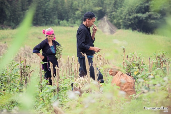 trekking en sapa por libre