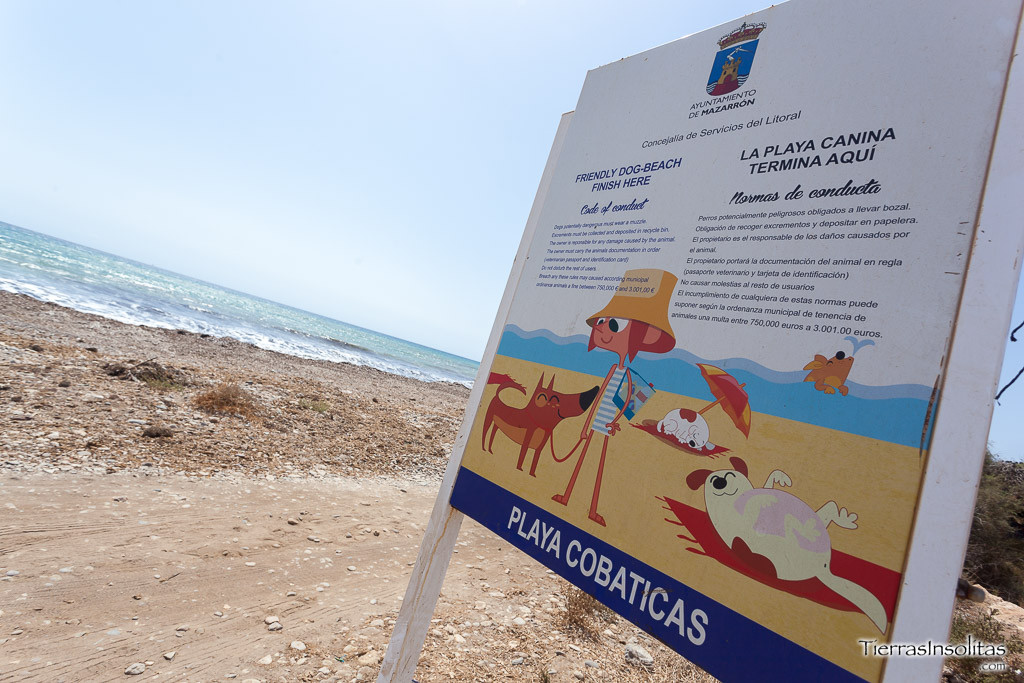 cartel playa canina las covaticas