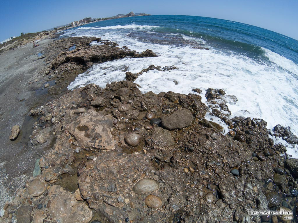 playa canina cañada del negro