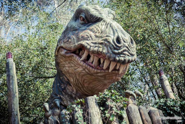 valle de los dinosaurios t-rex carranza