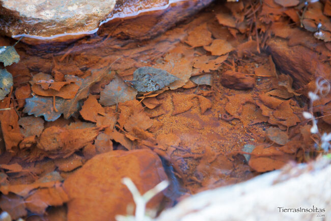 agua ferrosa mina de llorts