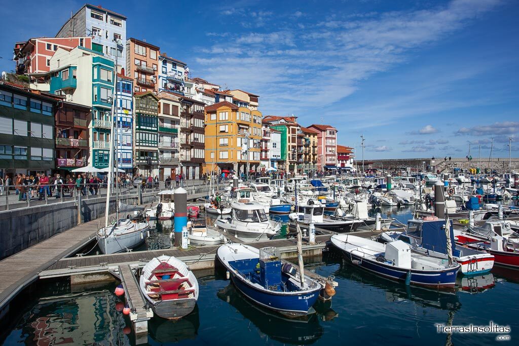 puerto viejo bermeo vizcaya