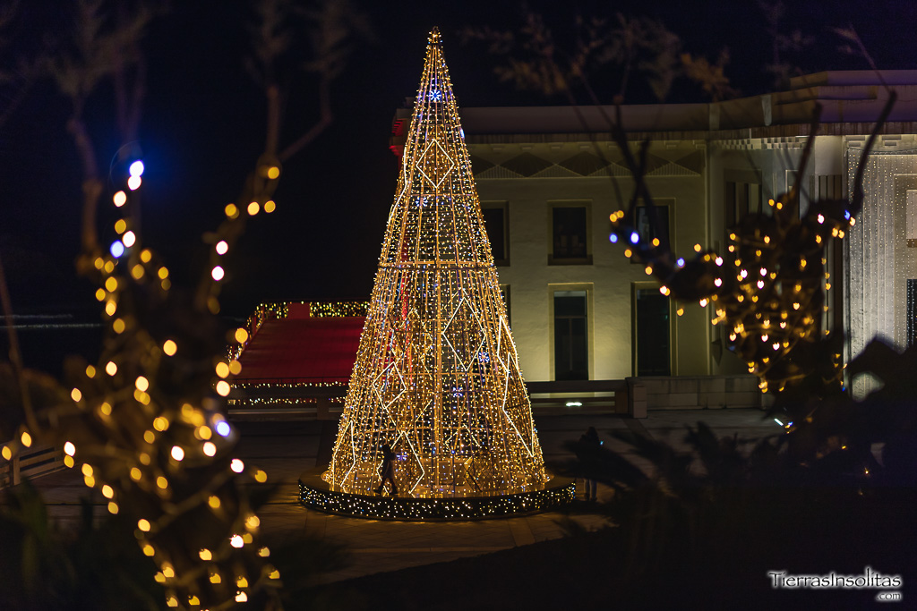 abeto-navidad-biarritz