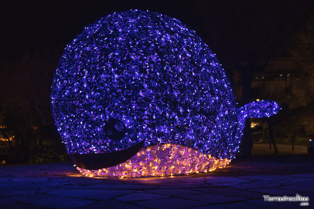 ballena-navidad-biarritz-francia