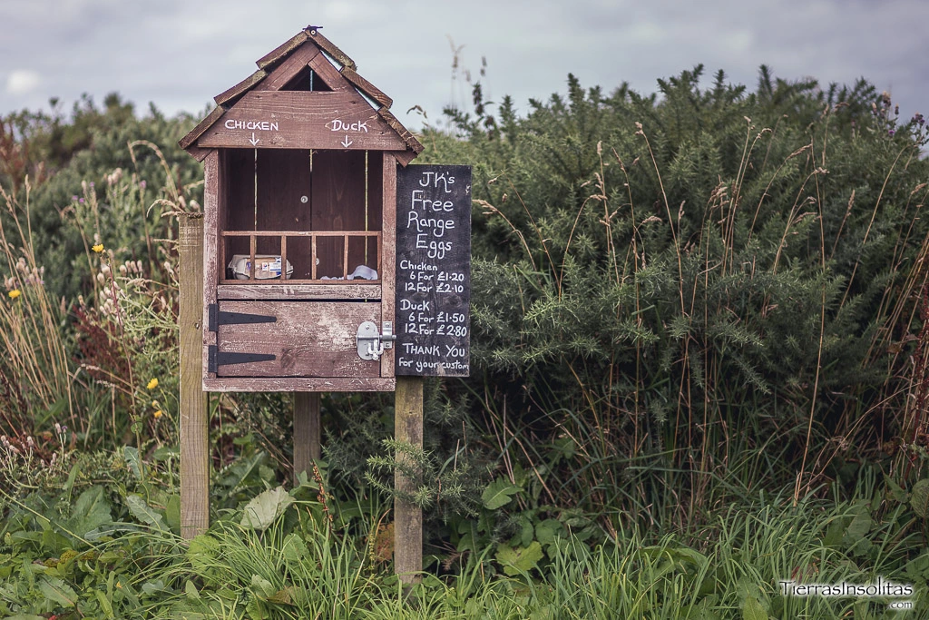 honesty box en escocia