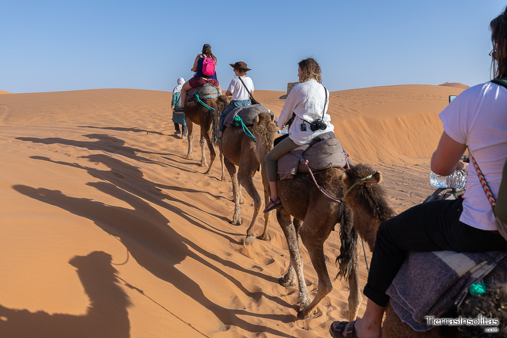 ruta dromedario desierto merzouga marruecos